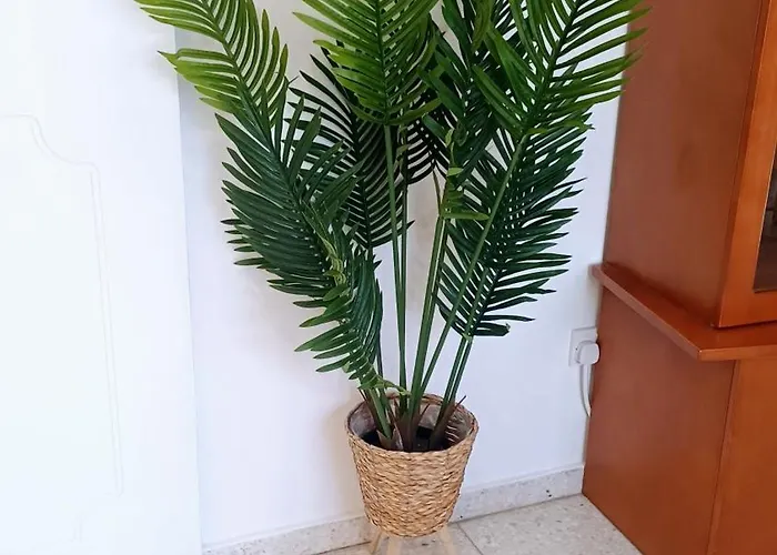 Spacious 2 Bedroom Near Mall -internet 1gbps * Paphos